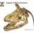 terrarium CZASZKI DINOZAURA Kryjówka T-Rex Skull